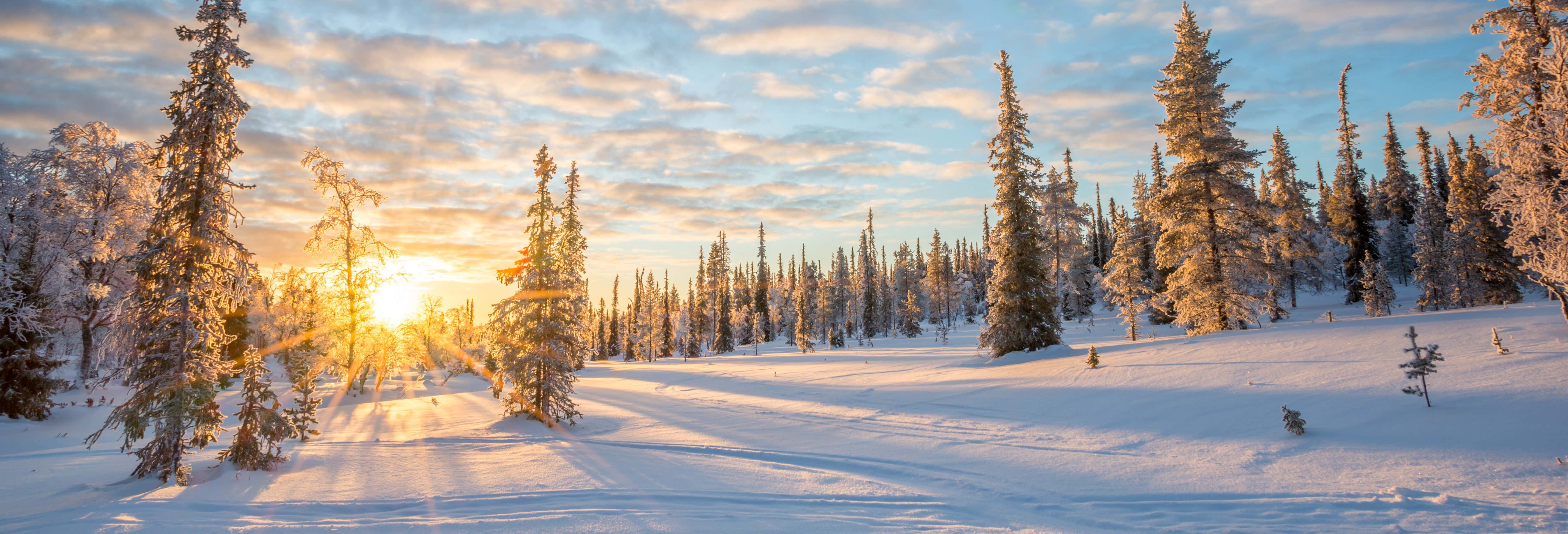 Excursión a Saariselkä + Raquetas de nieve, sauna y almuerzo