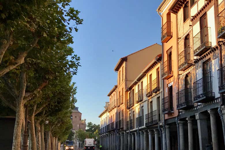 Visita guiada por Alcalá de Henares y su Universidad