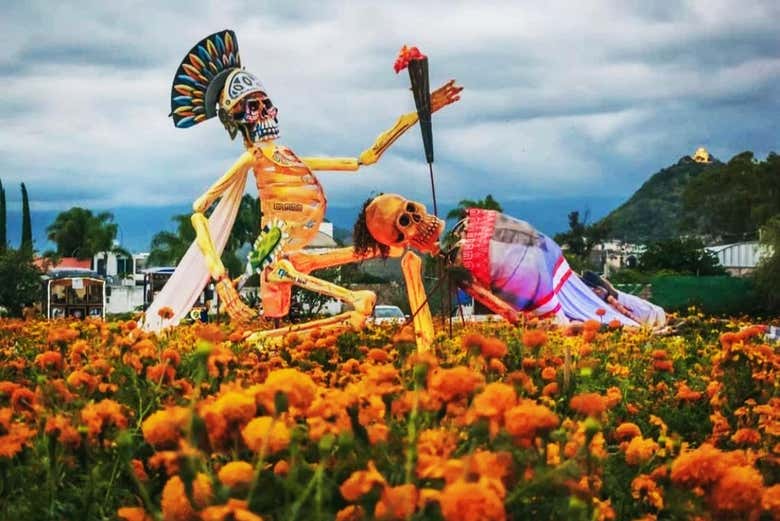 Excursión al Valle de Catrinas y los campos de cempasúchil