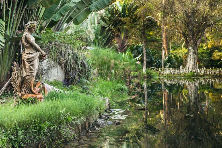 Tour por el Jardín Botánico y el Bosque de Tijuca