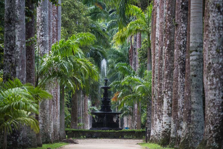 Tour por el Jardín Botánico y el Bosque de Tijuca