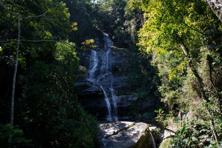 Tour por el Jardín Botánico y el Bosque de Tijuca