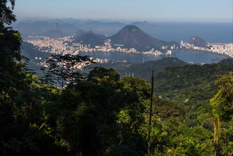 Tour por el Jardín Botánico y el Bosque de Tijuca