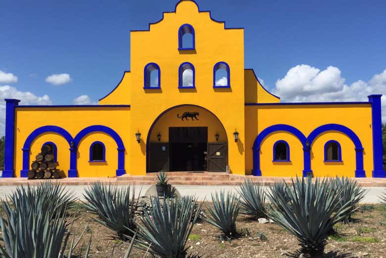 Free tour por Playa del Carmen con traslado desde Cancún - Galería 1