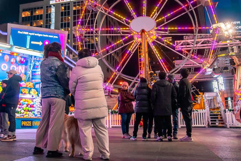Tour de las luces de Navidad de Toronto en autobús