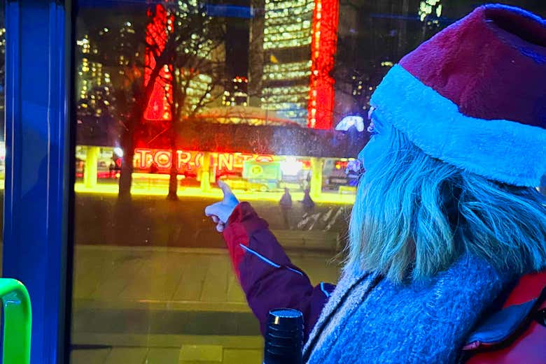Tour de las luces de Navidad de Toronto en autobús - Galería 2