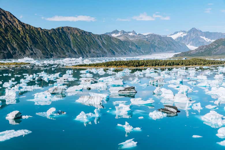Vuelo en helicóptero + Paddleboard entre icebergs por Seward