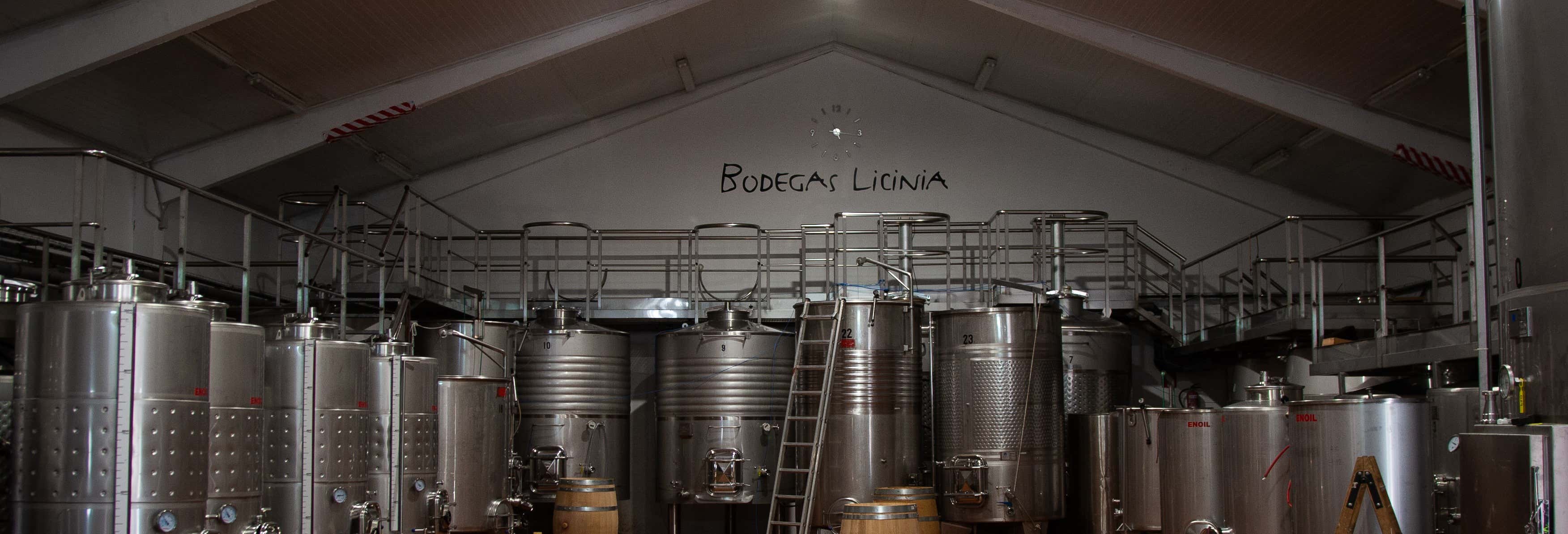 Bus del Vino de Madrid