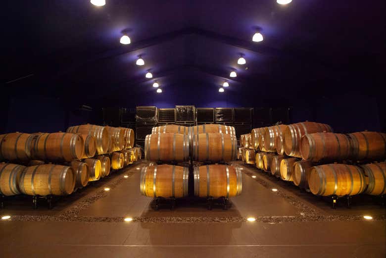 Bus del Vino de Madrid - Galería 1