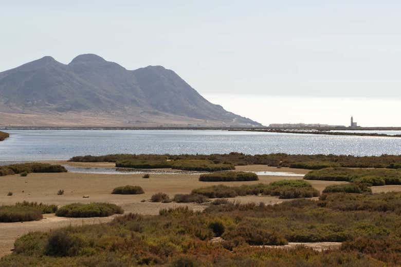 Tour por las salinas y humedales del Cabo de Gata en 4x4 - Galería 1