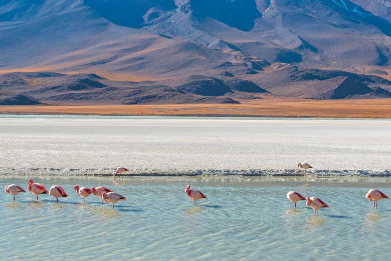 3 días por el salar de Uyuni y sus desiertos