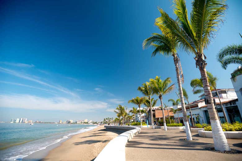 Tour por Puerto Vallarta y Mismaloya + Destilería de tequila - Galería 1