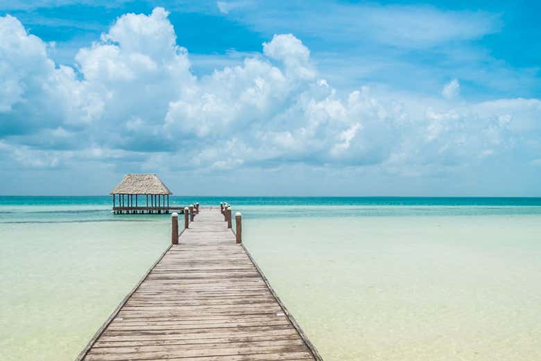 Excursión a la isla Holbox