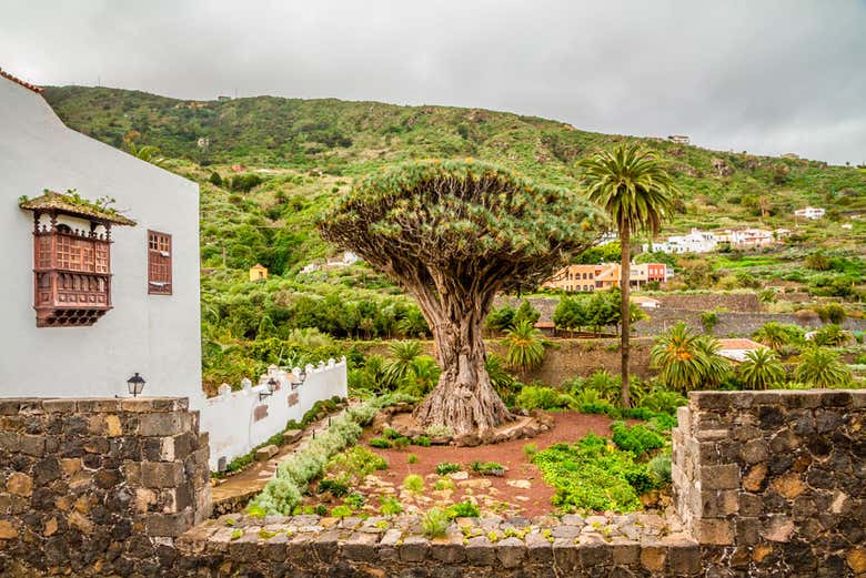 Excursión al Teide, Icod, Masca y Garachico desde el norte de Tenerife - Galería 1