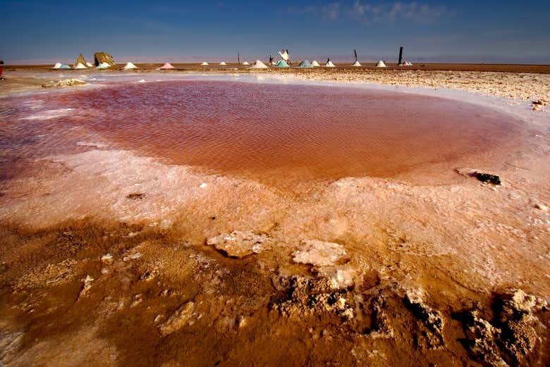 Excursión privada de 2 días por El Djem, Douz y Kairuán