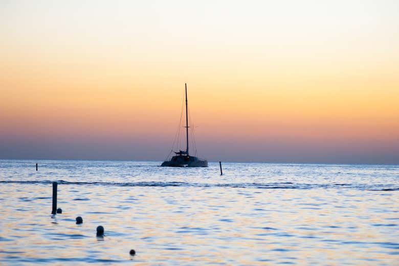 Paseo en catamarán de lujo por Roatán