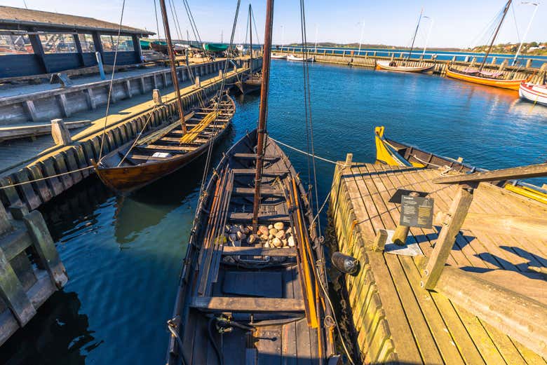 Excursión a Roskilde y el Museo de los Barcos Vikingos - Galería 2