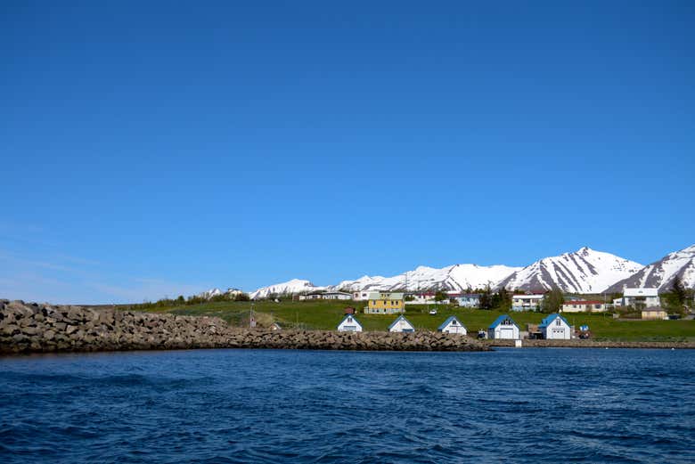 Avistamiento de ballenas en Árskógssandur