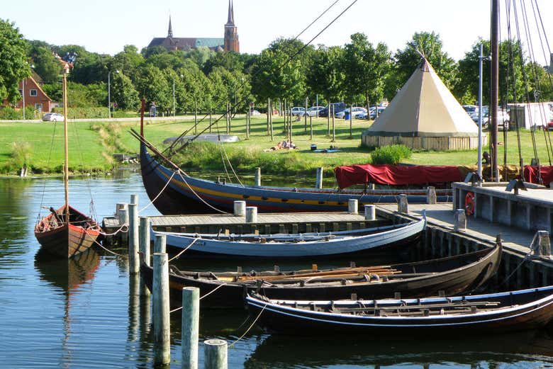 Excursión privada desde Copenhague
