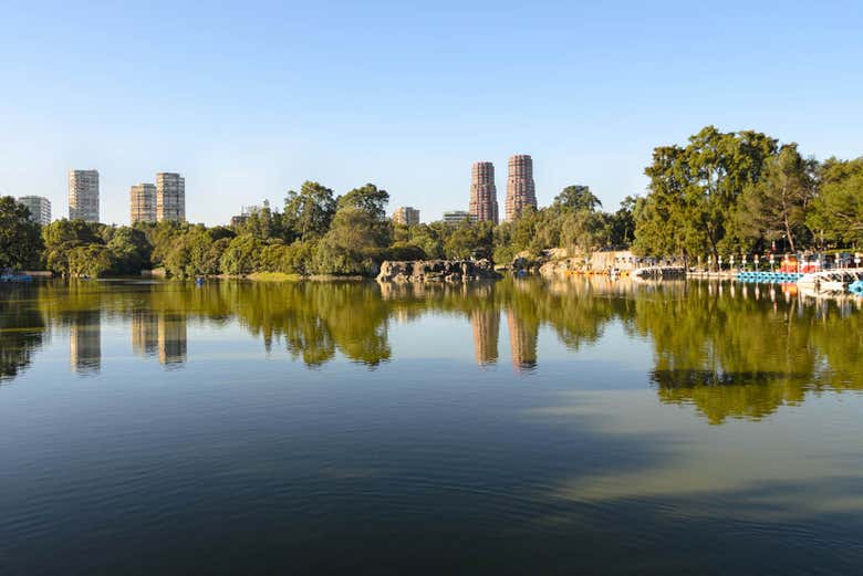 Free tour por el bosque de Chapultepec, la Zona Rosa y el Paseo de la Reforma