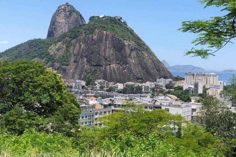 Tour de la cultura judía por Río de Janeiro