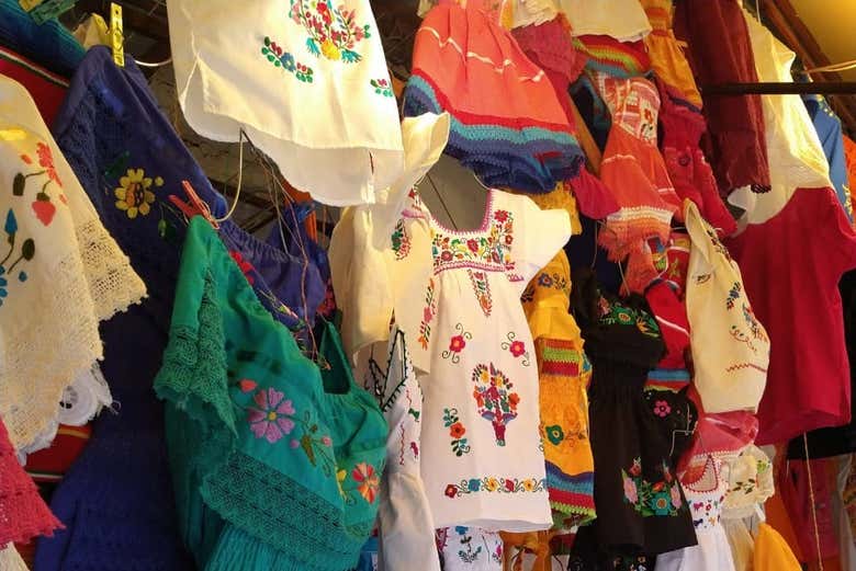 Tour por los barrios de Xochimilco y Coyoacán en grupo reducido