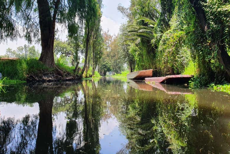 Tour por los barrios de Xochimilco y Coyoacán en grupo reducido