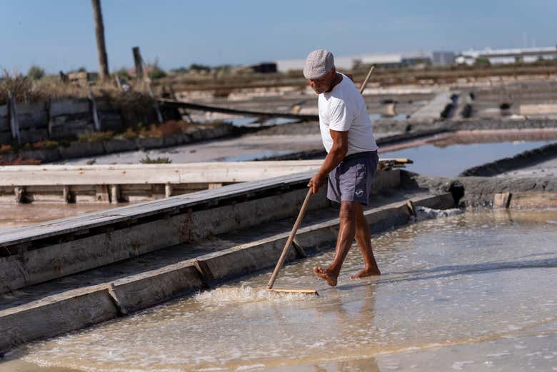 Visita guiada por las salinas de Aveiro