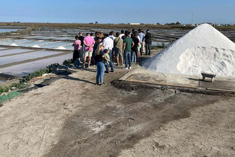 Visita guiada por las salinas de Aveiro