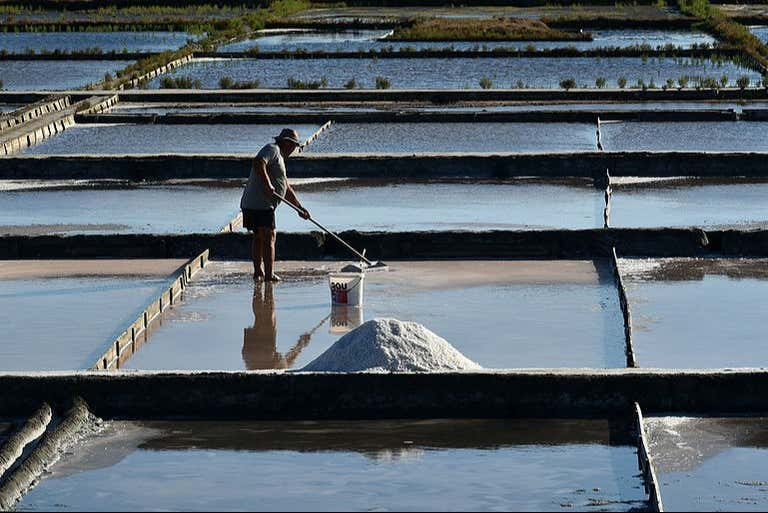 Visita guiada por las salinas de Aveiro