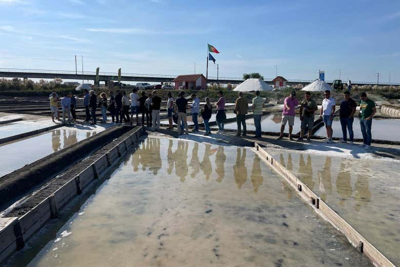 Visita guiada por las salinas de Aveiro
