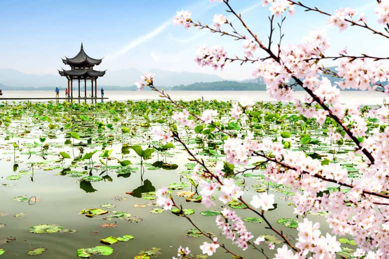 Excursión privada al templo de LingYin y Lago del Oeste