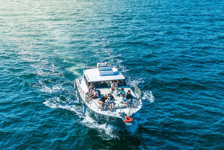 Paseo en barco por la bahía de Estepona