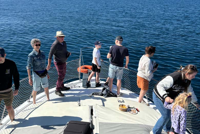 Paseo en barco por la bahía de Estepona