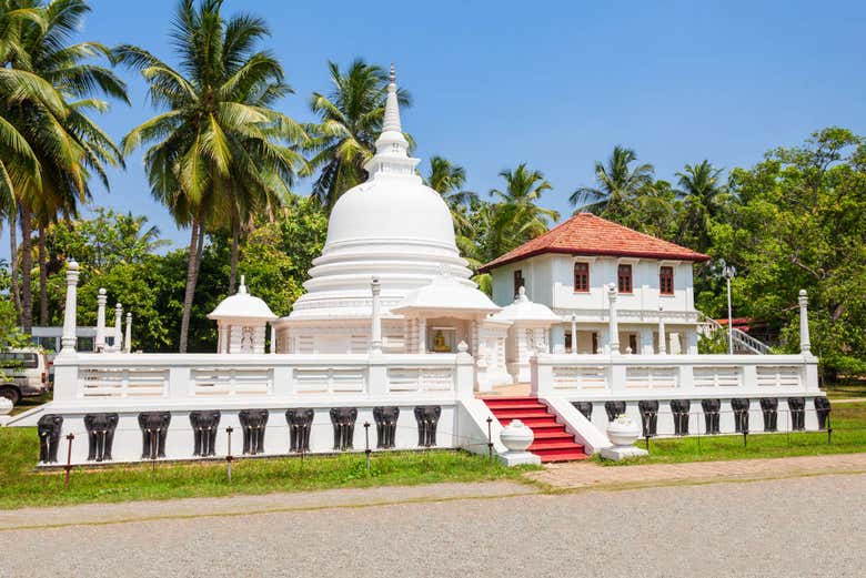 Excursión privada a Negombo