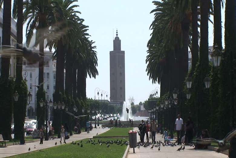 Tour privado por Casablanca y Rabat