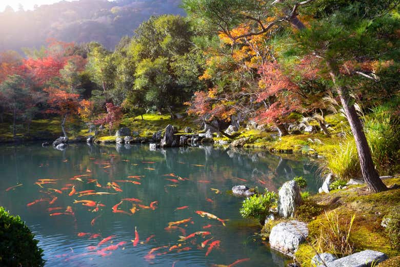 Excursión privada a Arashiyama y la villa imperial de Uji - Galería 2