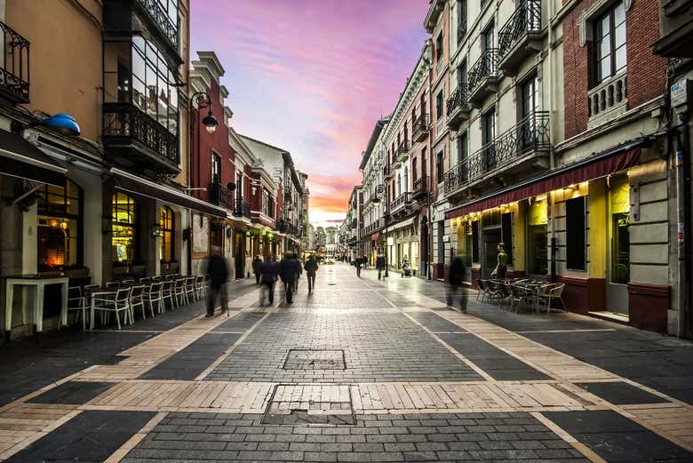 Visita guiada por León y su catedral