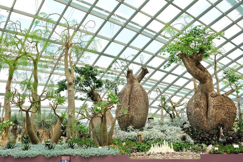 Entradas a los Jardines de la Bahía
