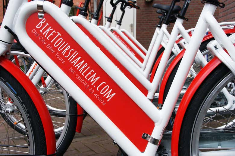 Tour en bicicleta por Haarlem