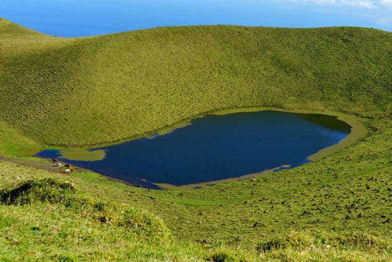 Tour por los volcanes y lagos de Pico