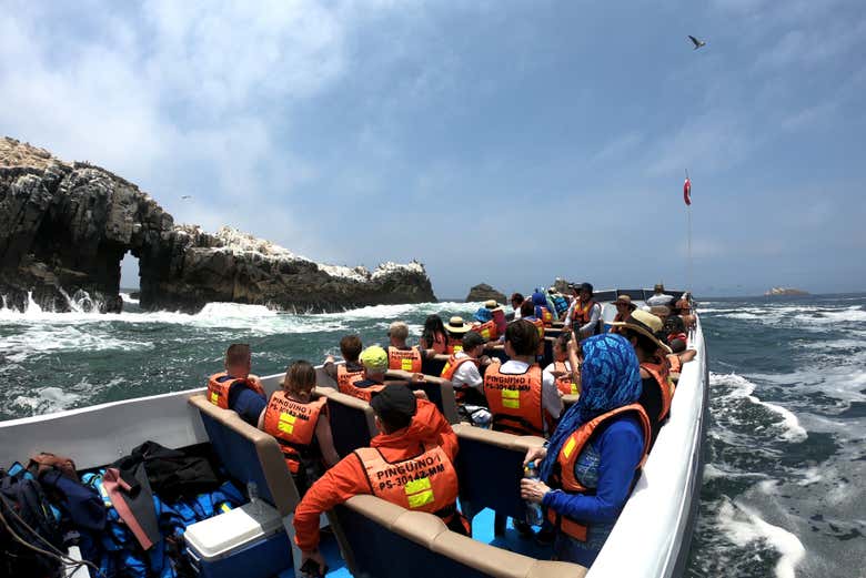 Paseo en lancha rápida por las Islas Palomino + Nado con lobos marinos
