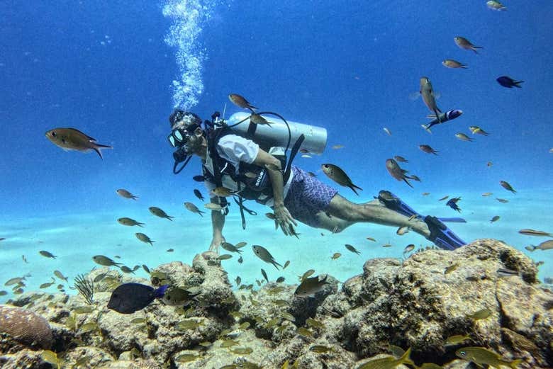Bautismo de buceo en San Andrés