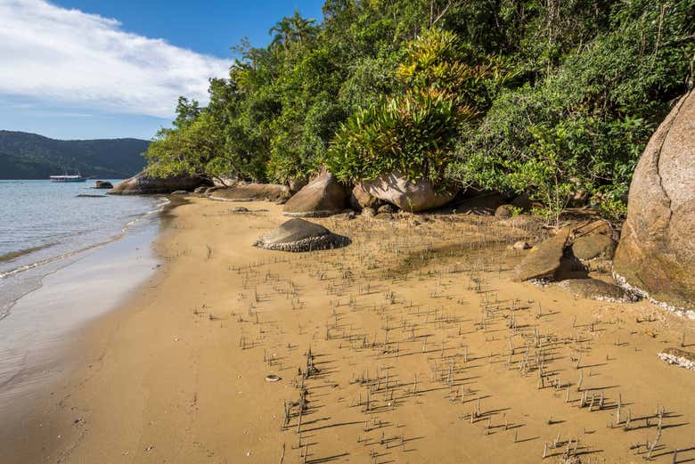 Excursión a Saco do Mamanguá