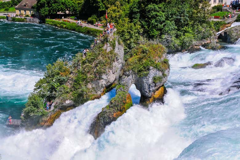 Excursión a las cataratas del Rin - Galería 2