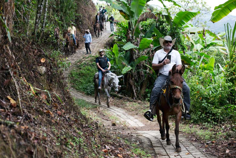 Tour del café en la finca La Arrinconada