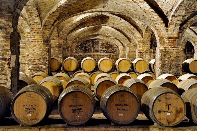 Visita a las bodegas de Santa Rita
