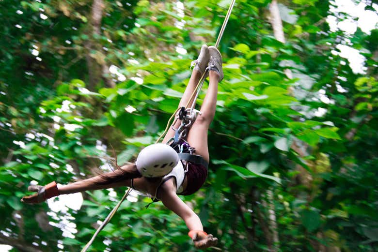 Tirolina sobre la selva tropical