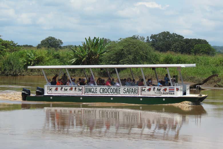Safari de cocodrilos en la selva tropical