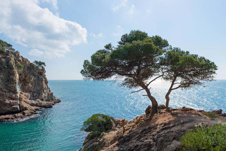 Excursión a la Costa Brava - Galería 2